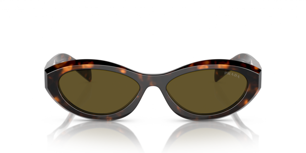 Prada 0PR 26ZS 14L09Z Damen Sonnenbrille in Grün und Havana | Apollo
