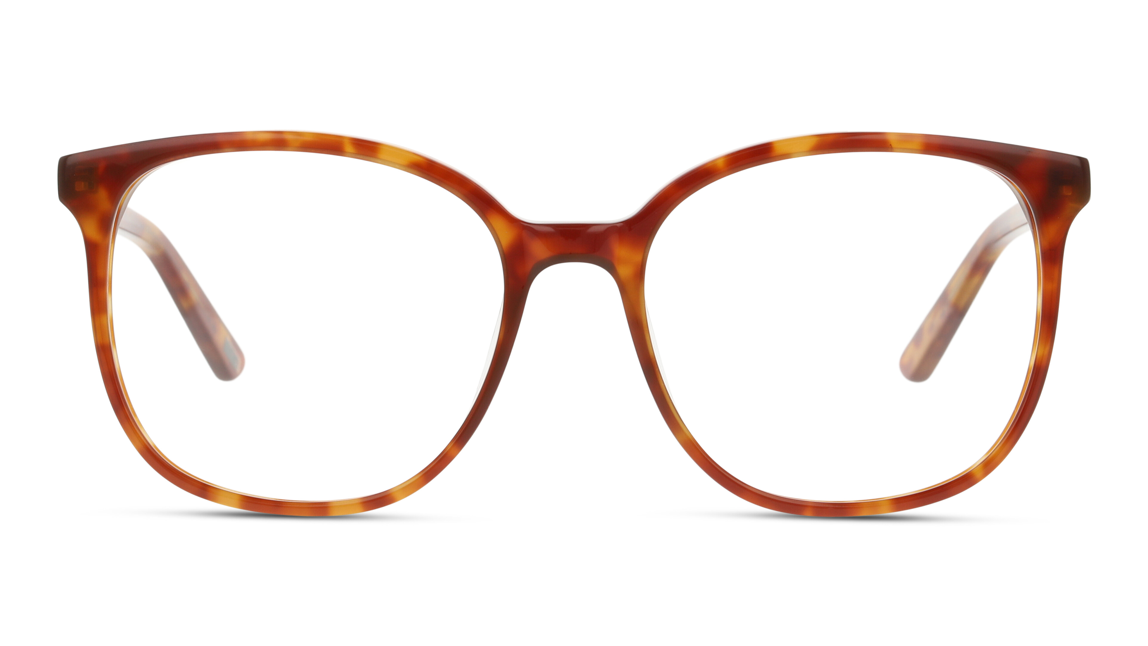 Dbyd Damen Havana,Havana Kunststoff Panto Havana/Havana Brille Online; Brillengestell; Fassung; Auch Als Gleitsichtbrille